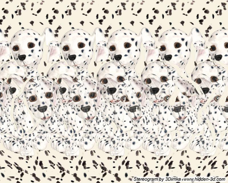 hidden-3d.com-gallery-3Dimka_dalmatian_pups.jpg
